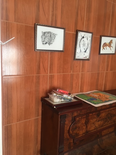 Commercial Property for Sale in Eureka Eastern Cape